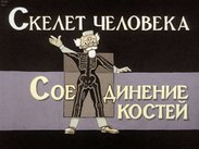 Скелет человека. Соединение костей: диафильм по биологии для 8 к.